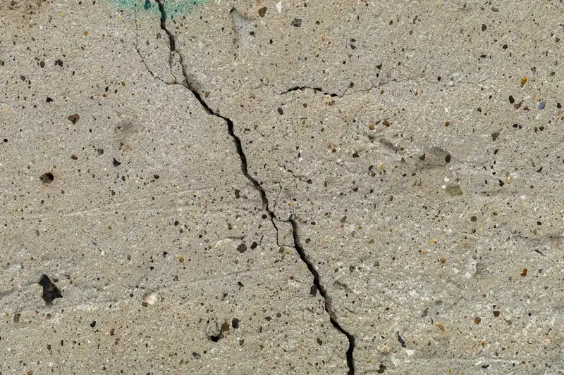 A crack in a foundation wall